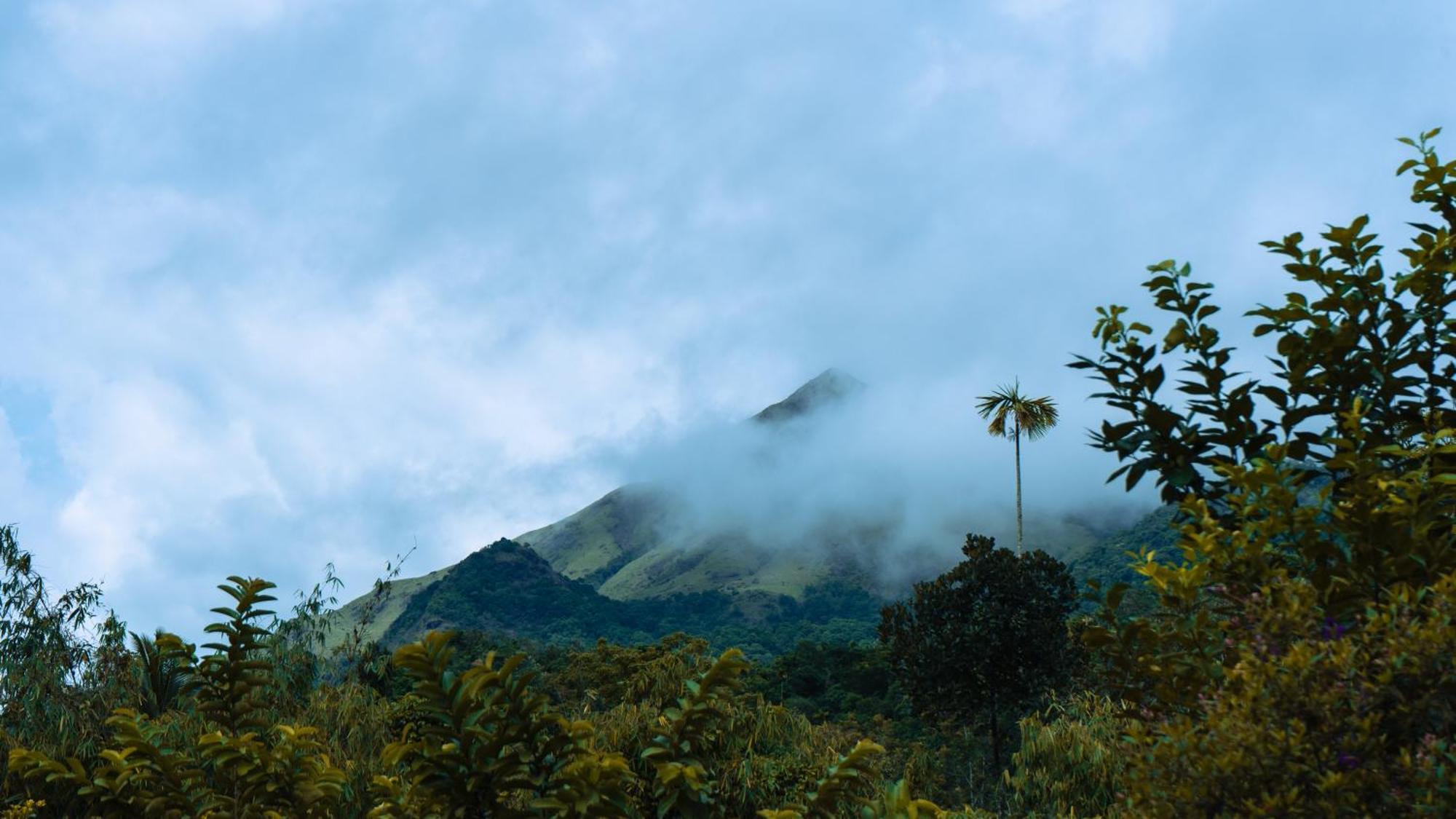 Vythiri Holiday Resort, Wayanad ภายนอก รูปภาพ