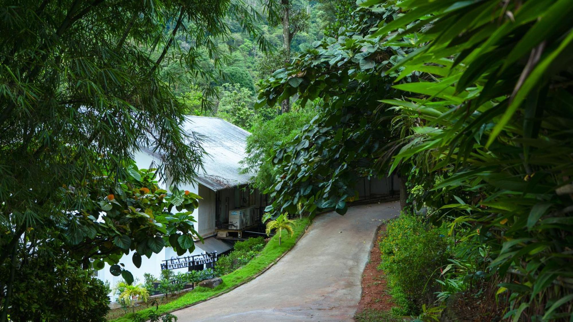 Vythiri Holiday Resort, Wayanad ภายนอก รูปภาพ